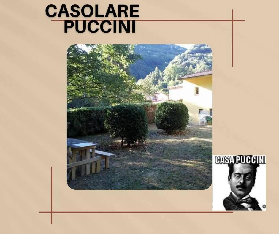 דירות באניי די לוקה Casolare Puccini מראה חיצוני תמונה