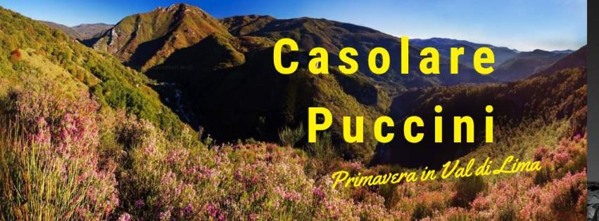דירות באניי די לוקה Casolare Puccini מראה חיצוני תמונה